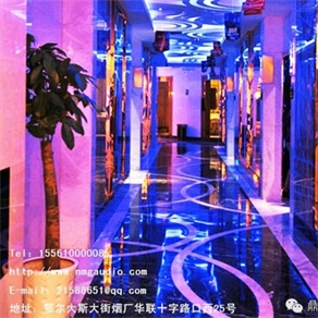 鄂爾多斯樂(lè )巢量販式KTV